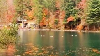 Буйные краски осени.