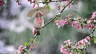 Музыкотерапия