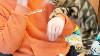 CATTY Love 3