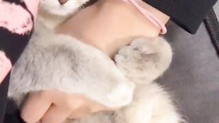 CATTY Love 6