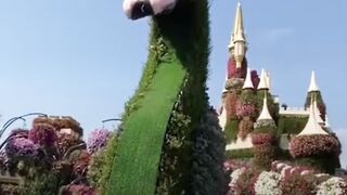 Сад цветов Miracle Garden в Дубае, ОАЭ