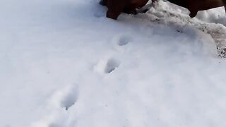 Jablan od Marka Mirovića