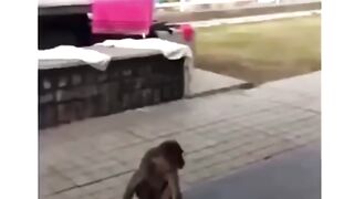 Вот он я