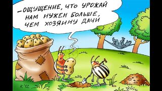 Про урожай...
