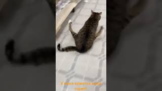 У меня кажется жопа горит!!