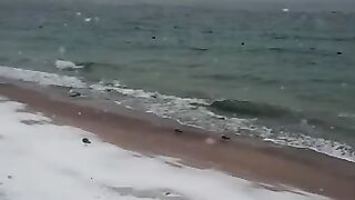 Зимняя затока