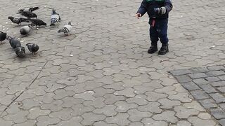 Синочок
