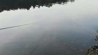 Природа 7