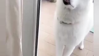Красавчик блондин