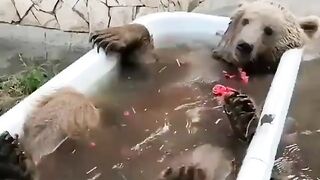 Балдёжник