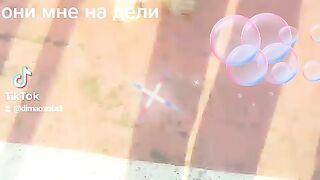 Собака в очках