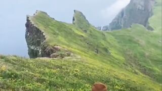 Let's find peace into nature