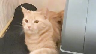Всегда должна быть дружба