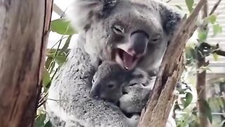 Best animal