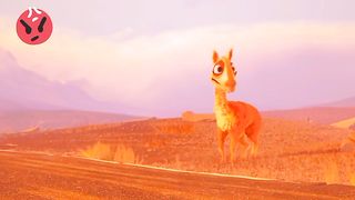 Funny Road Cross