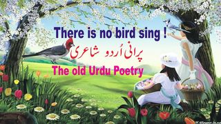 Urdu poetry