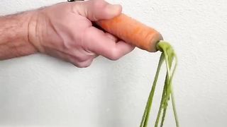why i put carrot in wall