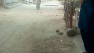 Very funny video