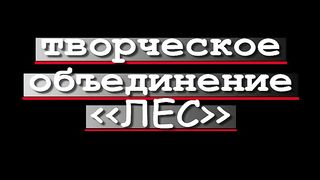FUNNY VIDEOS