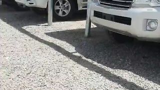 Toyota New Stock Available
