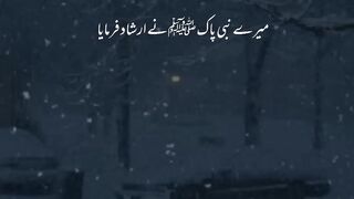 NABI PAAK S A W NY FERMAYA QIAMAT KY DIN