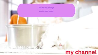 Amazon Basics Gravity Pet Waterer for Dogs and Cats, Small, 1 Gallon Capacity