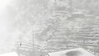 Snow fall