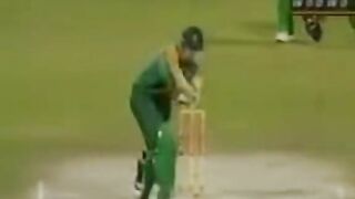Cricket fans