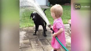 CATS & DOGS FUN