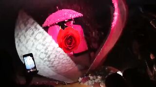 Entertainment video