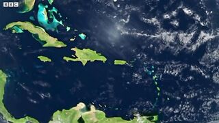 Bizarre Mating Ritual Of The Frigatebird  Wild Caribbean