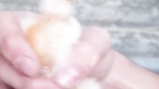 Intertainment videos