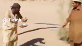 Funny video
