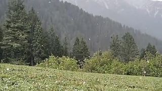 raining video/beautiful/vibes/#tranding #viral #videos