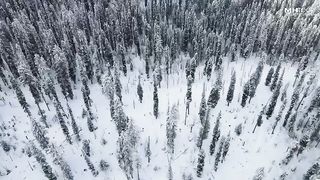 Nature and beauty