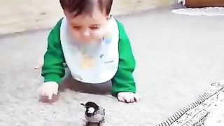 Cute smart baby