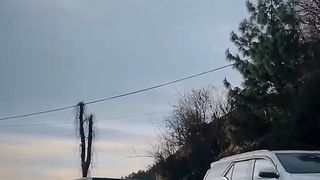 this video new cars