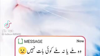Sad poetry beautiful cate
