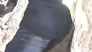 Funny punjabi short video