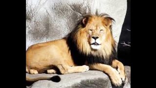 Lahore zoo