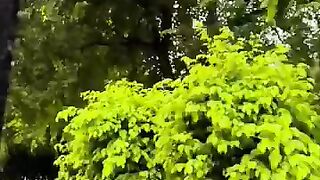 Enjoy beautiful beautiful rain with me