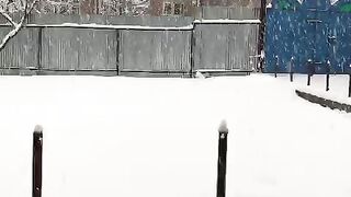 Half a foot of snow has accumulated at Zethan Rafiabad. Snowing moderately currently.
