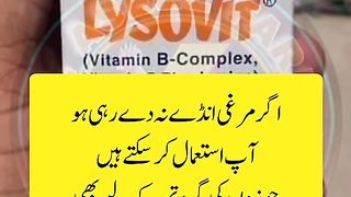 Information about aseel chicks ????