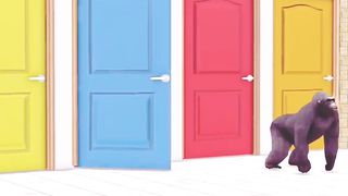 Color animals