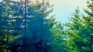 Beautiful view Kashmir valley ❤️✨