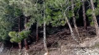 The natural beauty of forest #Viral video