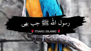 Hadees Mishkat Shareef 35 ????????❤️ | حدیث مشکوٰۃ شریف