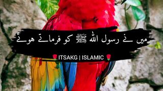 Hadees Mishkat Shareef 36 ♥️| حدیث مشکوٰۃ شریف