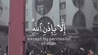 Heal your heart by The words of Allah