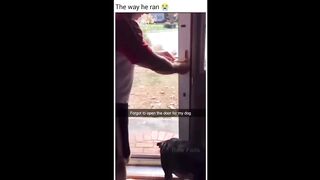Instant Regret | Fails Compilation | Funny Fails